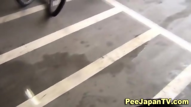 Hairy Asian Seen Pissing