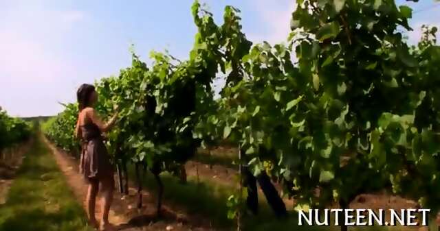 Petite Darlings Seduction