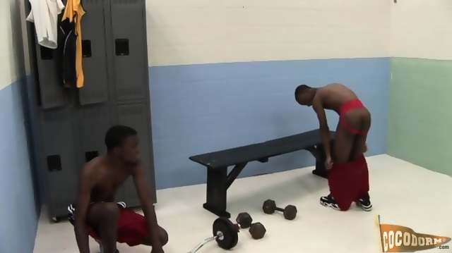 Cocodorm Day Day + Tyler Trenton Teaser