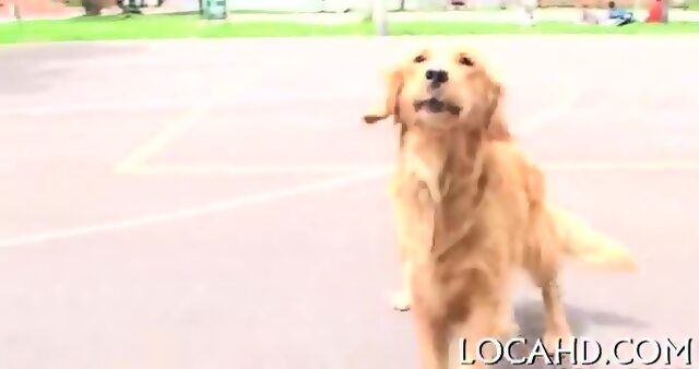 Doggy-style Fuck Of Filthy Teen