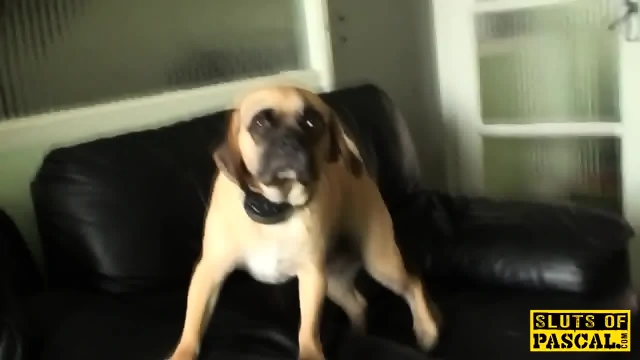 Cuckholding british submissive in chokeplay