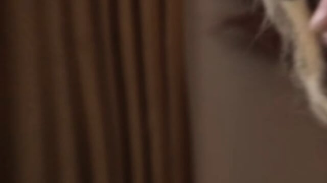 Preview 5