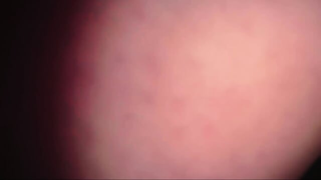 Preview 5