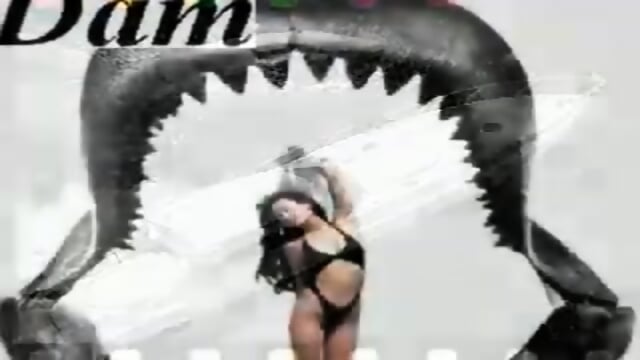 The megalodon