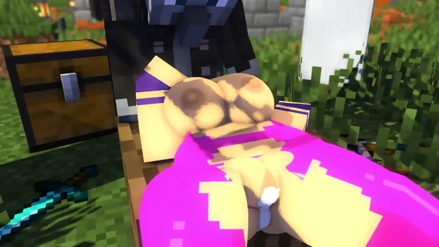 pinke-s-illager-encounter-animation_480p