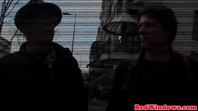 Longhaired dutch hooker gets nailed