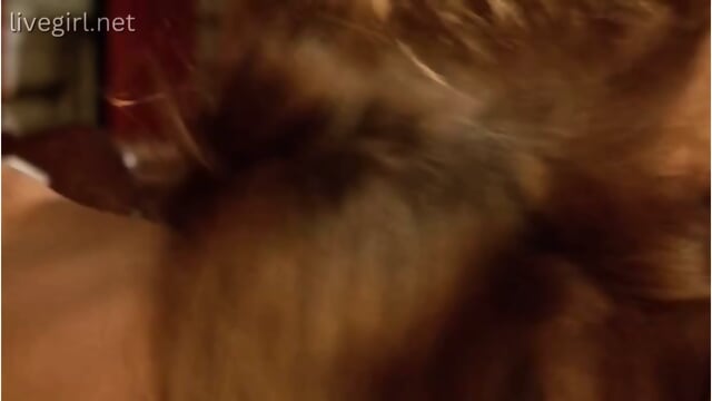 Preview 5