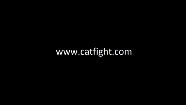 Topless female boxing in Catfight
