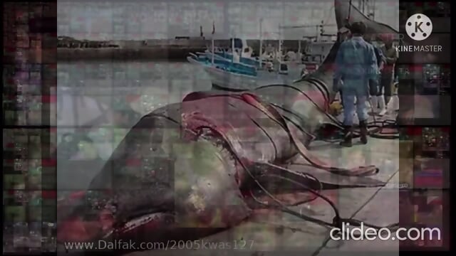 Band Geeks Up To Faster Monster Sharks Jumpscare