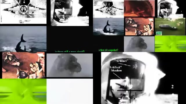 Annoying Goose reupload