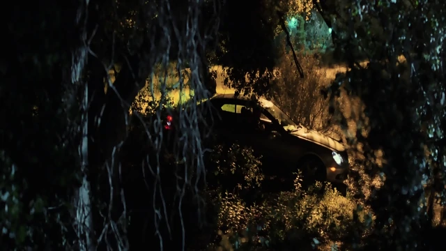 Kiisss.Kiisss.Banngg.Banngg.2005