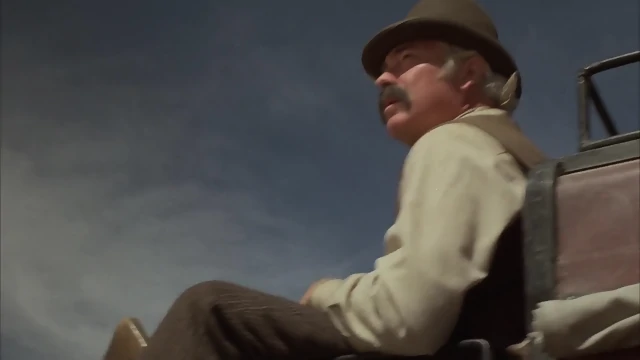 Goiinn.Soouthh.1978.Movv vie