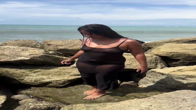 EspaÃ±ol Italiano camello en silla de ruedas cammello su sedia a rotelle 6