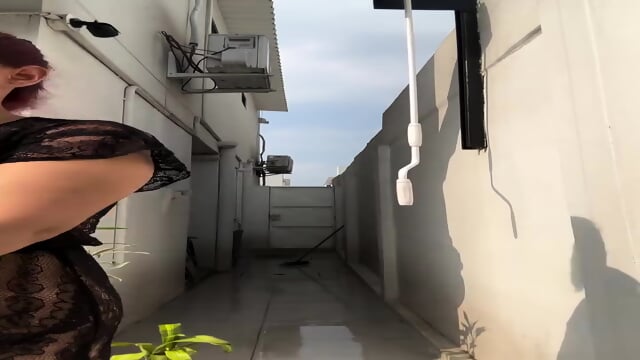 EspaÃ±ol Italiano camello en silla de ruedas cammello su sedia a rotelle 8