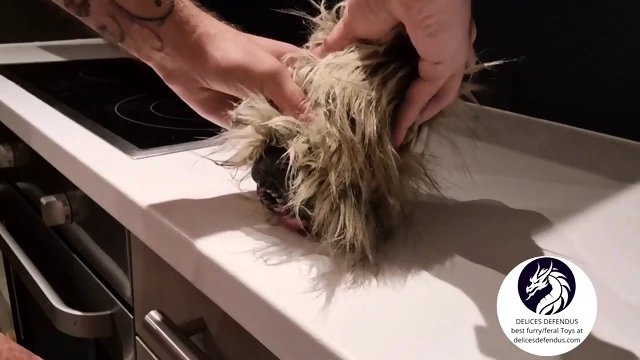 Furry Sextoy From Delices Defendus – Roxy the Playful Dog Gets Fucked Anal and Vaginal