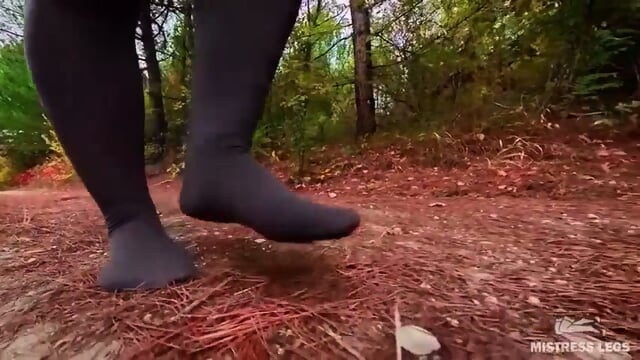 Follow My Footsteps Along The Path In The Evening Lonely Forest