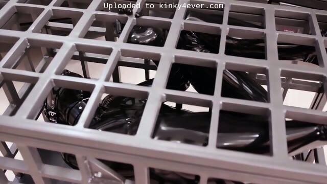 Preview 5