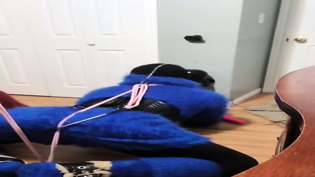 Sweatercub Video 3