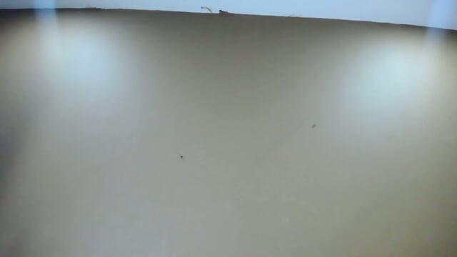 Preview 6
