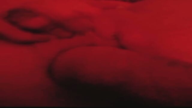 Chocho gordo puÃ±o