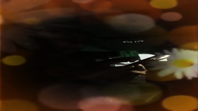 Preview 4