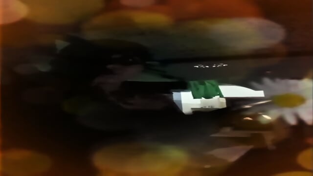 Preview 5