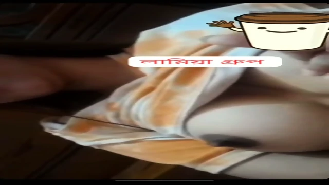 Bengali girlfriend Nilima shows her pussy and boobs in video call