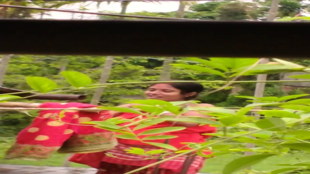 DesHI LiveGirls Village Pregnant Bhabhi Bathing In Open Place Hidden Recording By Devar