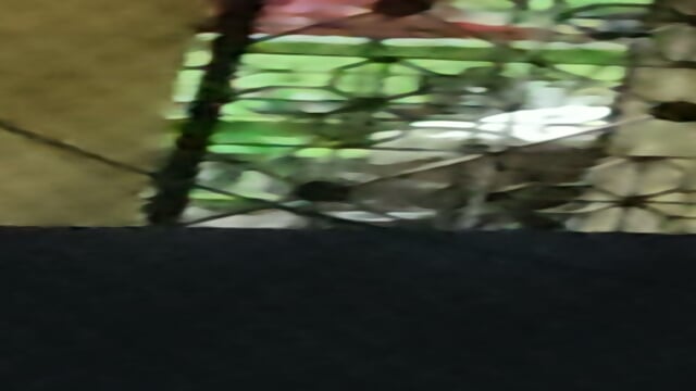 Preview 5