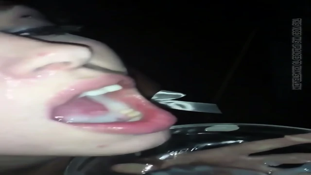 Swallow Queen From Germany