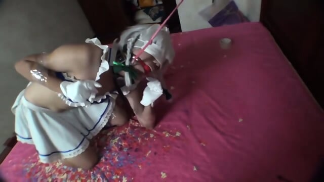 Sakuya Izayoi In Is My New Dog