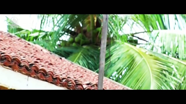 Preview 4