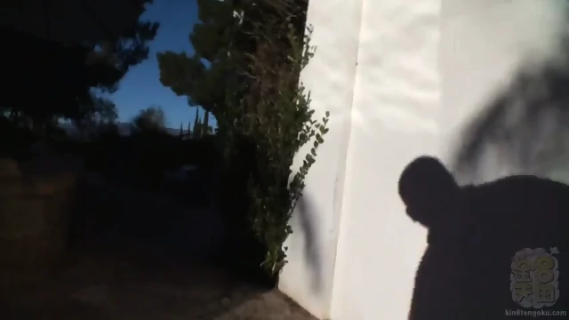 AMWF Brooklyns-Bailey