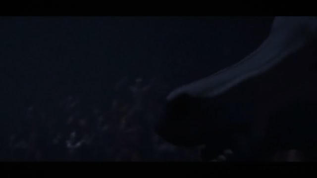 Sex Cartoon - Threesome group sex on circus arena - 3D Toon