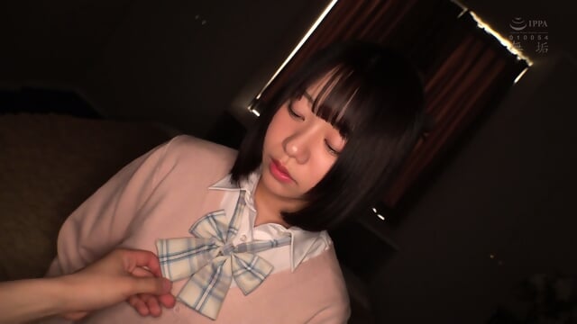 I just want to defile a slender schoolgirl as I please. Uniform fetishism