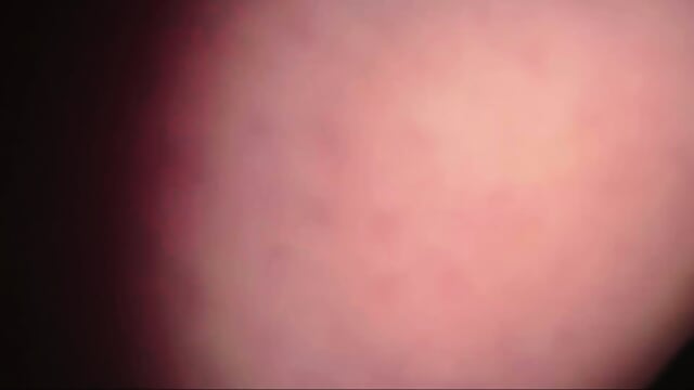 Preview 5