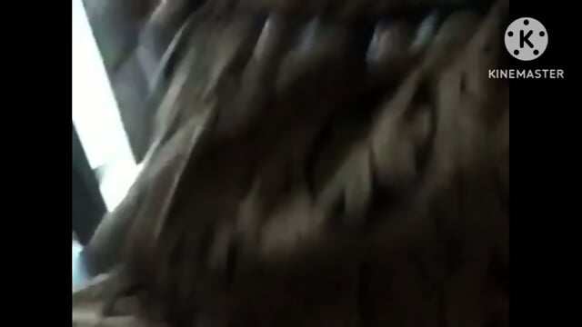 Preview 5