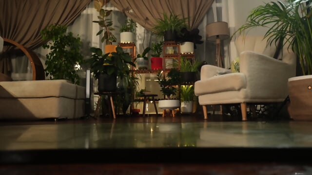 Preview 4
