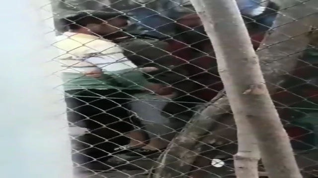 skandal ahmad sahroni part 3 full di https://linktr.ee/bookingpsk