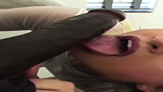 Trap Trepa Funk White Vs BBC Take Care Of Ears Mdfckrs