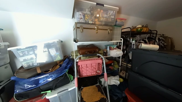 Ⓝⓘⓚⓚⓘ ⃝Ⓛⓐⓒⓨ ⃝Ⓔⓛⓛⓐ ⃝ⓌⓐⓝⓚⓩⓋⓇ  07.04.19