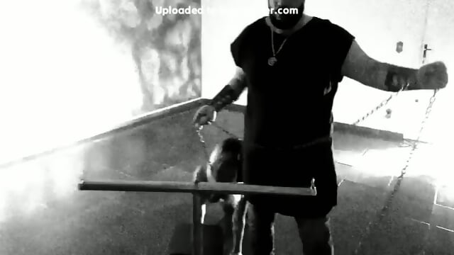 Reador Chain Wip  Kinky4Ever