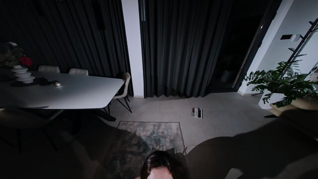 Preview 5