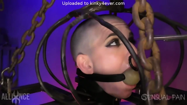 Shaved Naked Slave In Cage With Big Ball Gag  Kinky4Ever