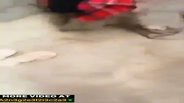 Pinilahan si insan Ng mga tropa ko Pinay gangbang  pagadian city