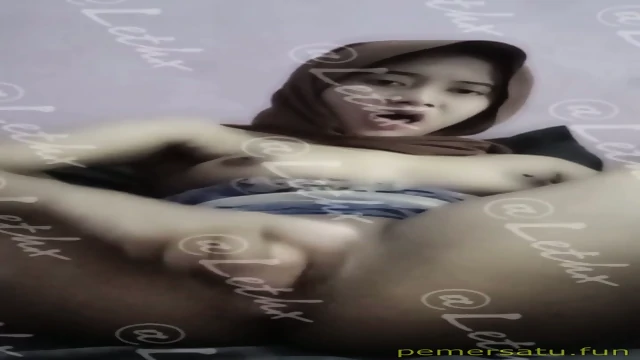 Aulia colmek part 1