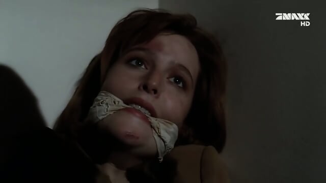 Gillian Anderson - The X Files  Kinky4Ever