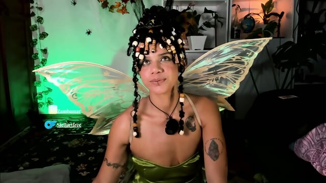 Stellart_ Webcam Session 1