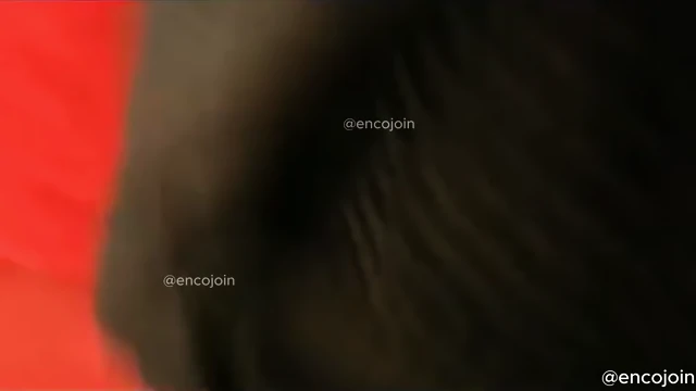 encoxada dickflash grope candid booty flash