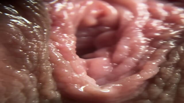 Pussy Close Up View